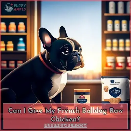Can I Give My French Bulldog Raw Chicken