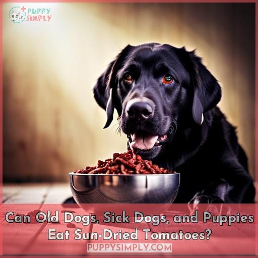 Can Old Dogs, Sick Dogs, and Puppies Eat Sun-Dried Tomatoes