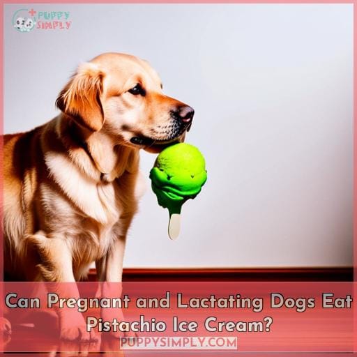 Can Pregnant and Lactating Dogs Eat Pistachio Ice Cream