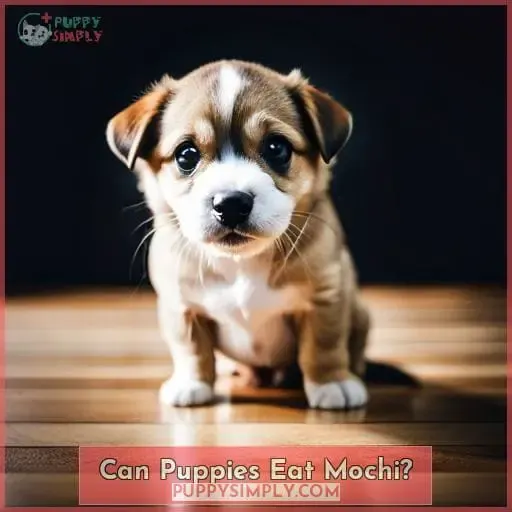 Can Puppies Eat Mochi