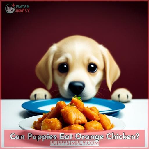 Can Puppies Eat Orange Chicken