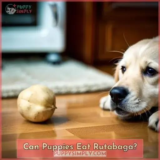 Can Puppies Eat Rutabaga
