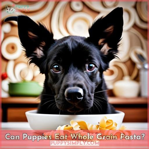 Can Puppies Eat Whole Grain Pasta