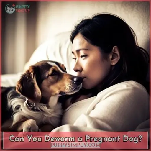 Can You Deworm a Pregnant Dog
