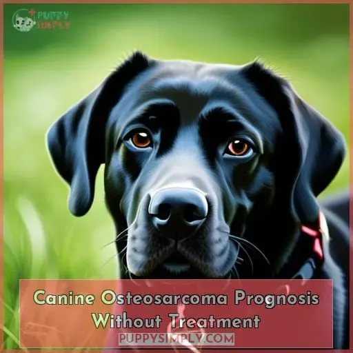 Canine Osteosarcoma Prognosis Without Treatment
