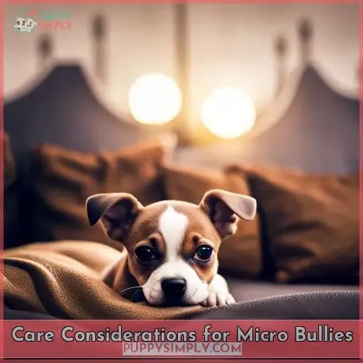 Care Considerations for Micro Bullies