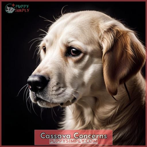 Cassava Concerns Cassava Concerns