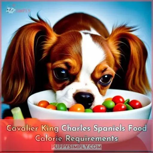 Cavalier King Charles Spaniels Food Calorie Requirements