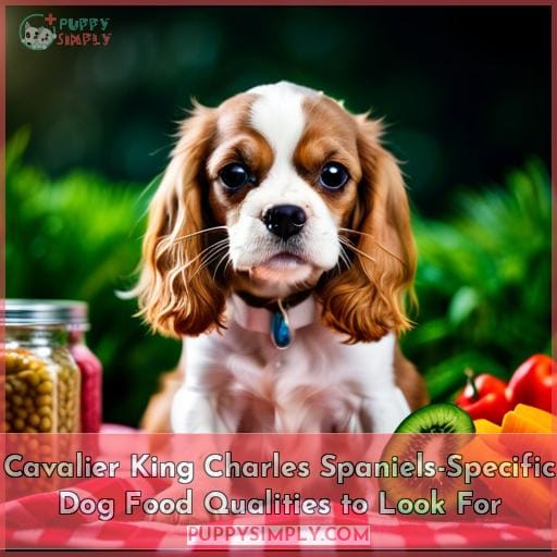 Cavalier King Charles Spaniels-Specific Dog Food Qualities to Look For