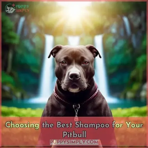 Choosing the Best Shampoo for Your Pitbull