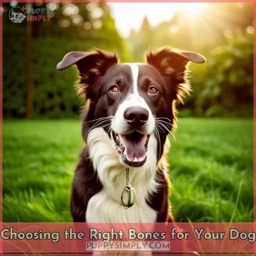 Choosing the Right Bones for Your Dog