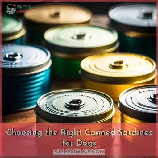 Choosing the Right Canned Sardines for Dogs