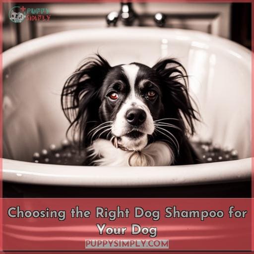 Choosing the Right Dog Shampoo for Your Dog