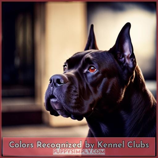 Colors Recognized by Kennel Clubs