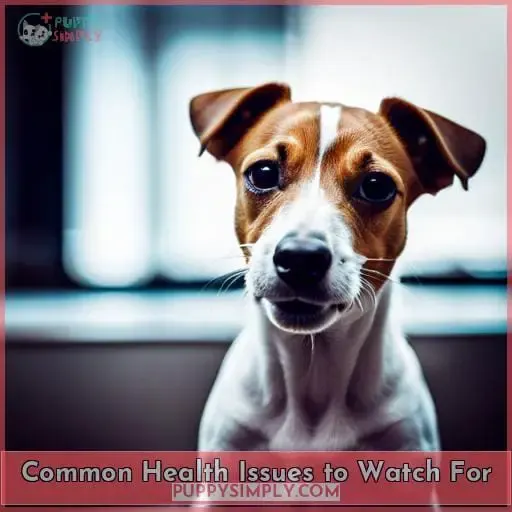 Common Health Issues to Watch For