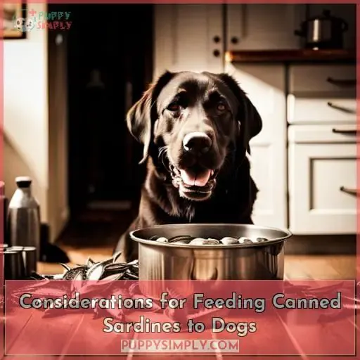 Considerations for Feeding Canned Sardines to Dogs