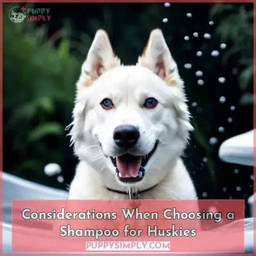 Considerations When Choosing a Shampoo for Huskies