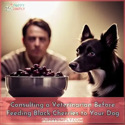 Consulting a Veterinarian Before Feeding Black Cherries to Your Dog