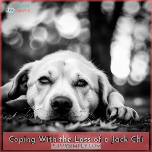 Coping With the Loss of a Jack Chi
