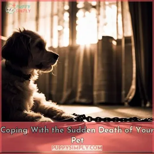 Coping With the Sudden Death of Your Pet