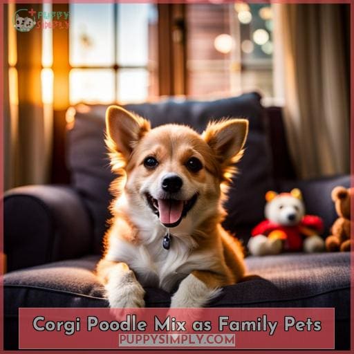 Corgi Poodle Mix as Family Pets