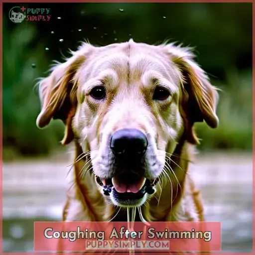 Coughing After Swimming