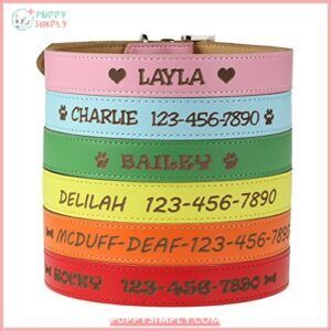Custom Catch Personalized Dog Collar B01LZLEF0H