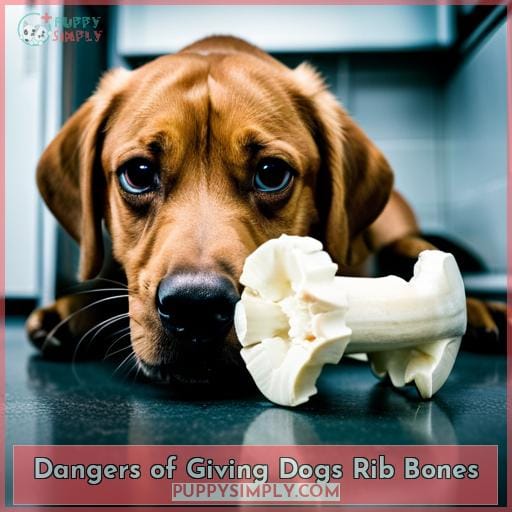 Dangers of Giving Dogs Rib Bones