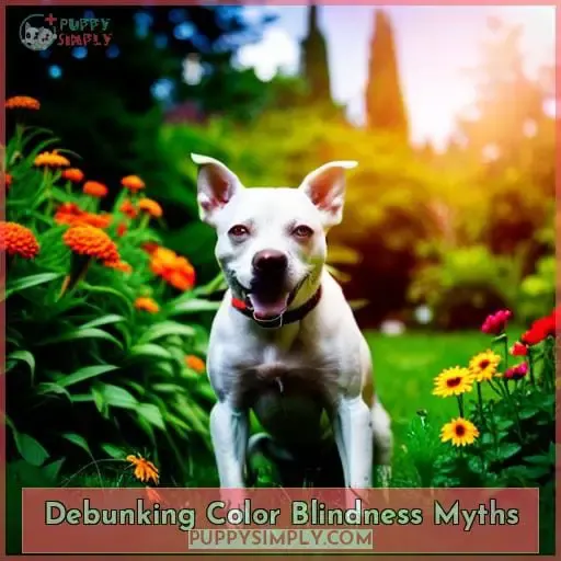 Debunking Color Blindness Myths