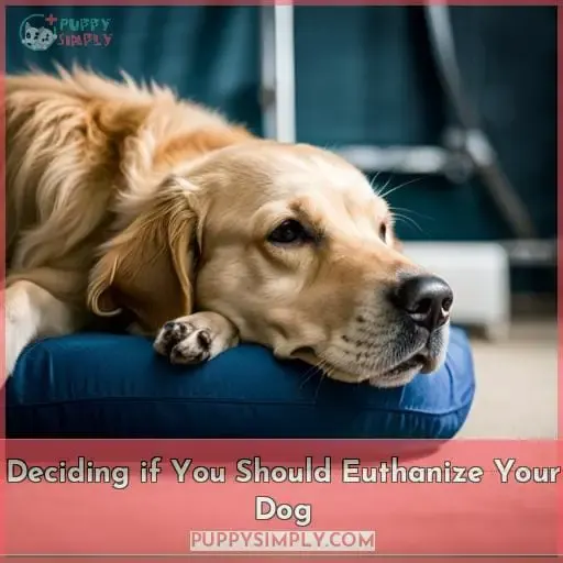 Deciding if You Should Euthanize Your Dog