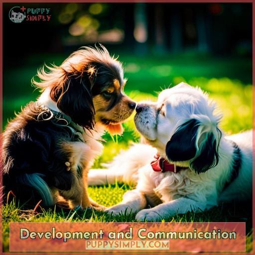 Development and Communication