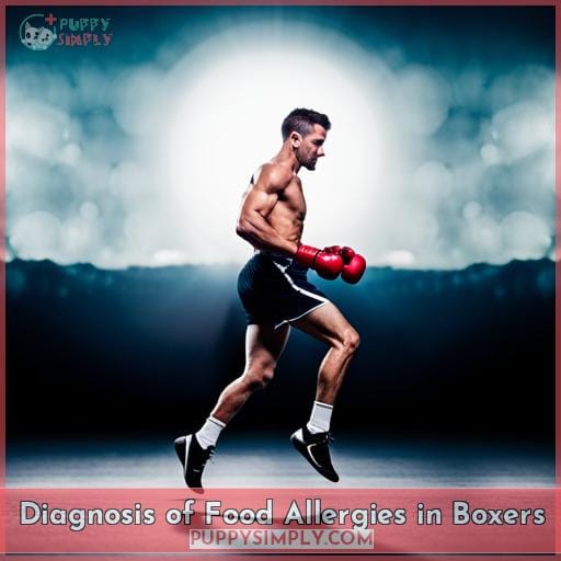 Diagnosis of Food Allergies in Boxers