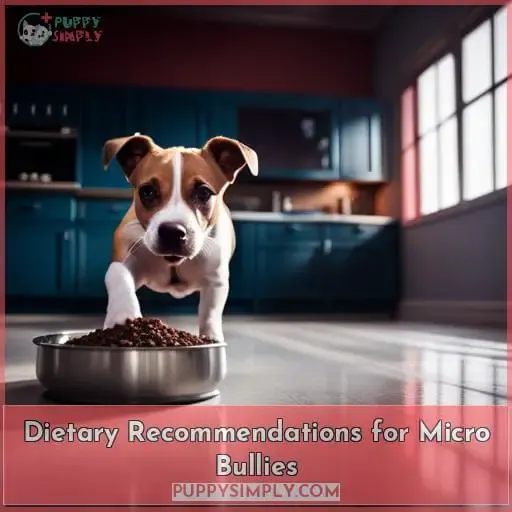 Dietary Recommendations for Micro Bullies