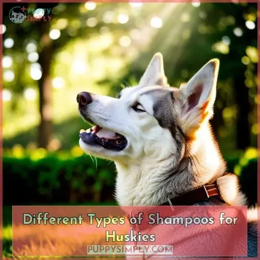 Different Types of Shampoos for Huskies
