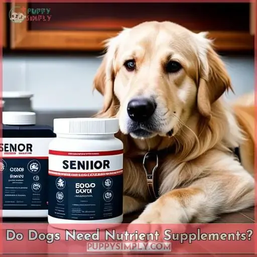 Do Dogs Need Nutrient Supplements