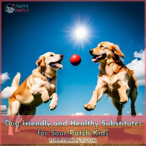 Dog-friendly and Healthy Substitutes for Sour Patch Kids