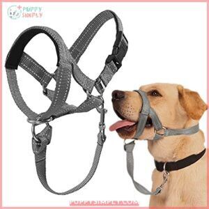 Dog Head Collar, No Pull B09F6DNWPB