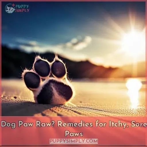 dog paw raw