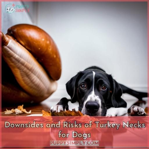 Downsides and Risks of Turkey Necks for Dogs