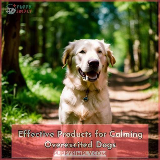 Effective Products for Calming Overexcited Dogs