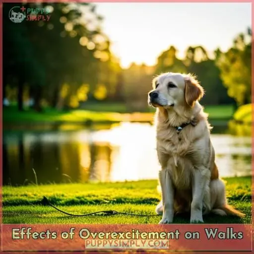 Effects of Overexcitement on Walks