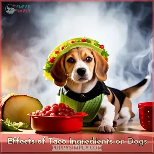Effects of Taco Ingredients on Dogs