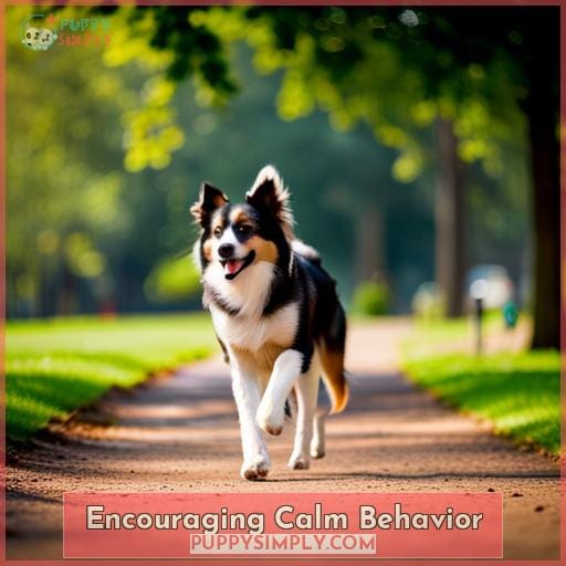 Encouraging Calm Behavior