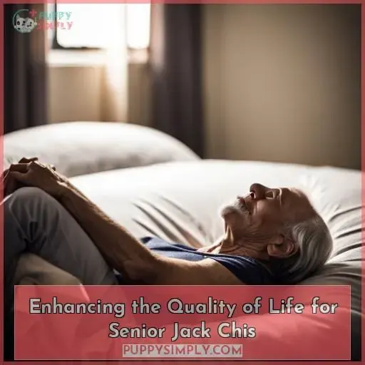 Enhancing the Quality of Life for Senior Jack Chis