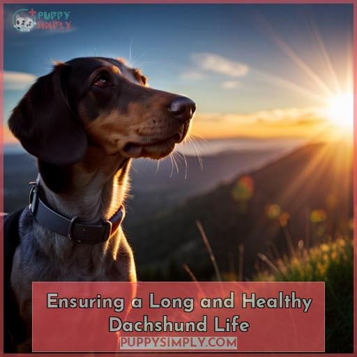Ensuring a Long and Healthy Dachshund Life