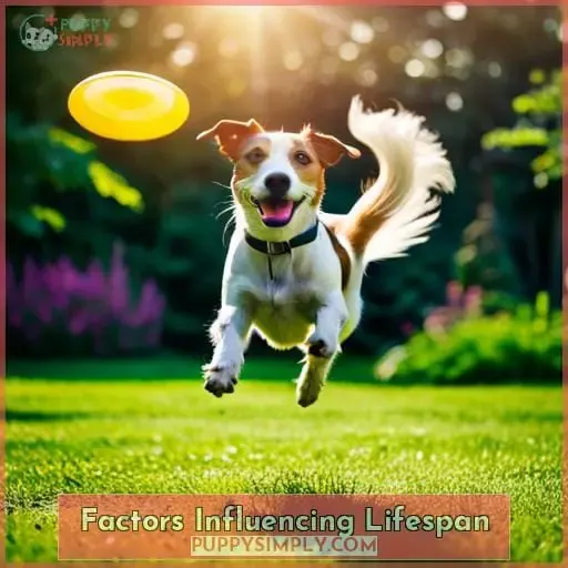 Factors Influencing Lifespan