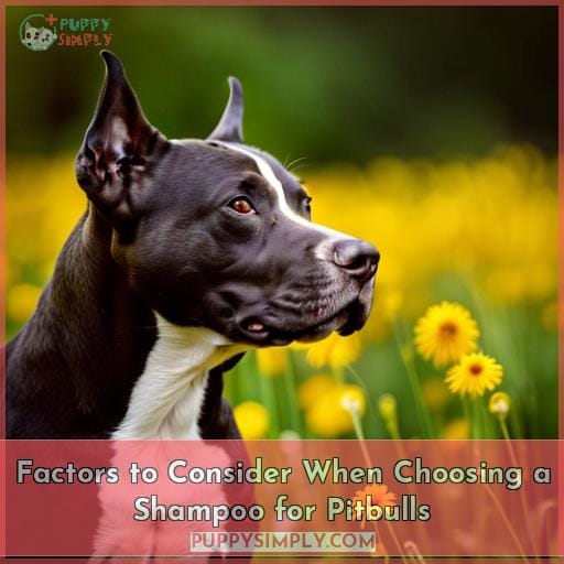 Factors to Consider When Choosing a Shampoo for Pitbulls