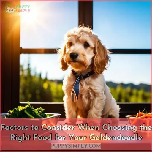 Factors to Consider When Choosing the Right Food for Your Goldendoodle