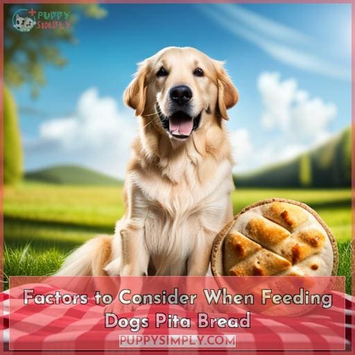 Factors to Consider When Feeding Dogs Pita Bread