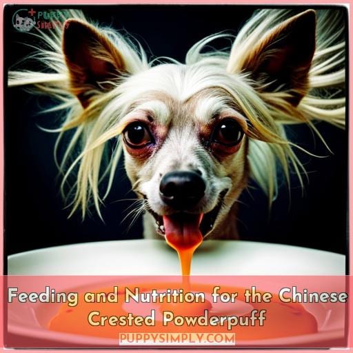 Feeding and Nutrition for the Chinese Crested Powderpuff